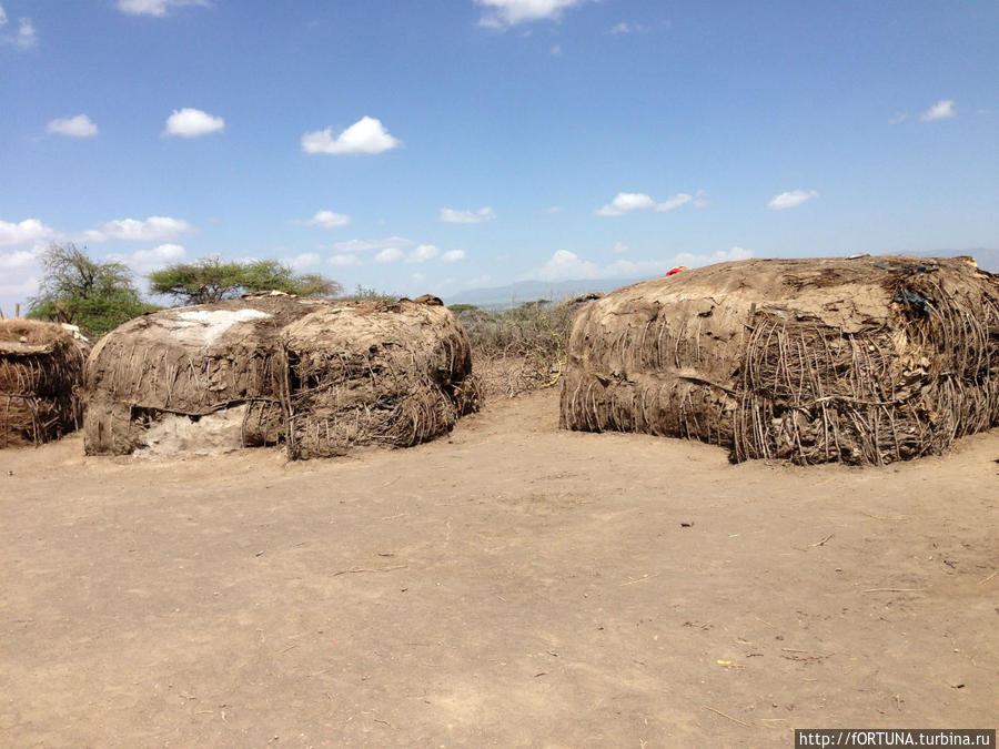 Вот так они  и жили... Нгоронгоро (заповедник в кратере вулкана), Танзания