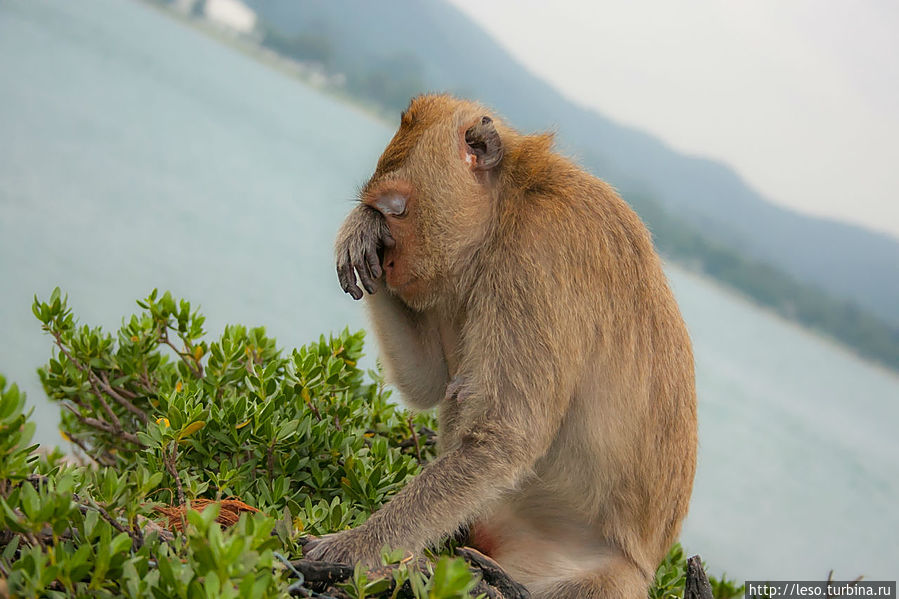 Как вы все меня достали Как вы все меня достали