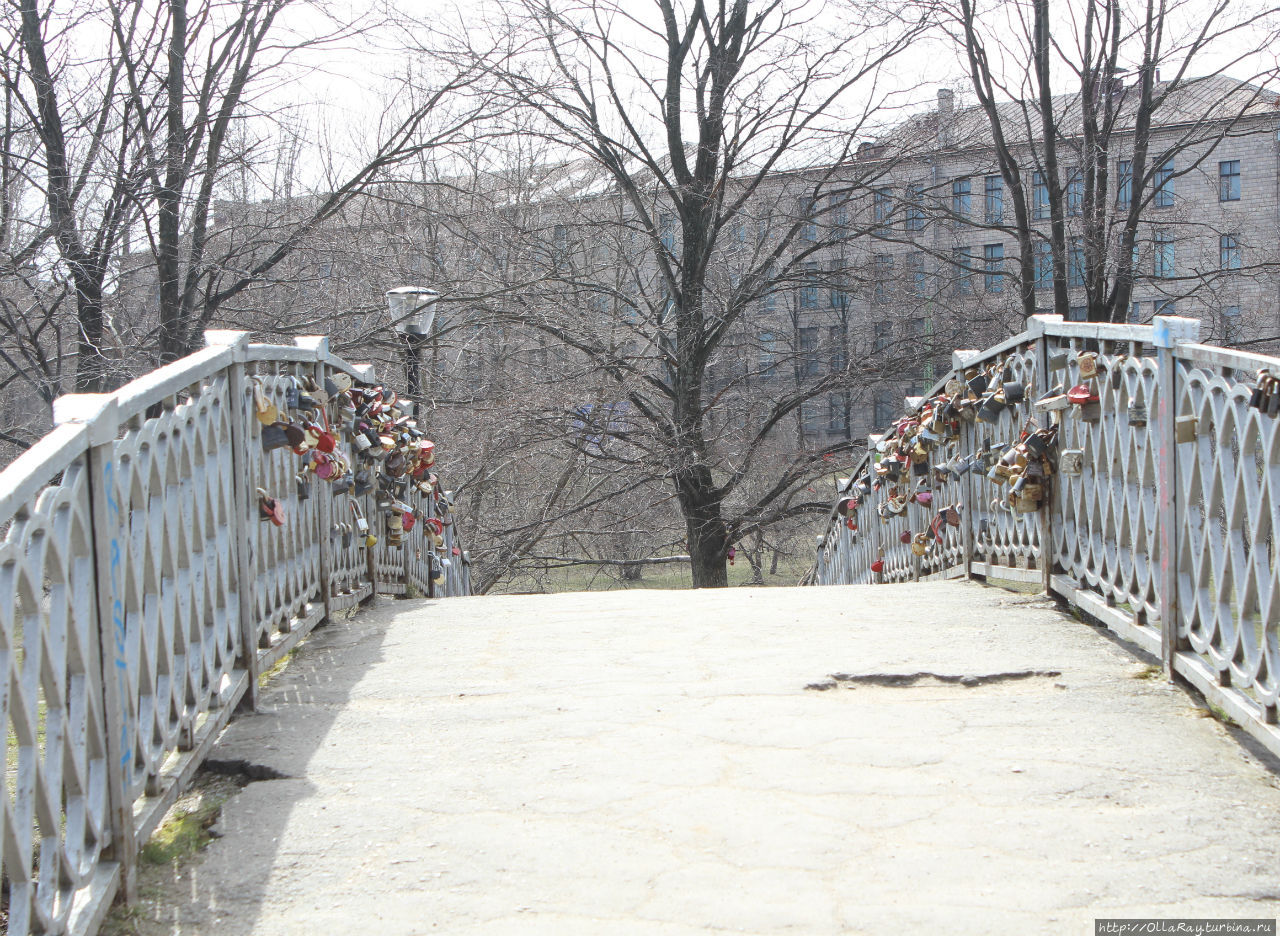 Горбатые мостики полюбились брачующимся. Петрозаводск, Россия