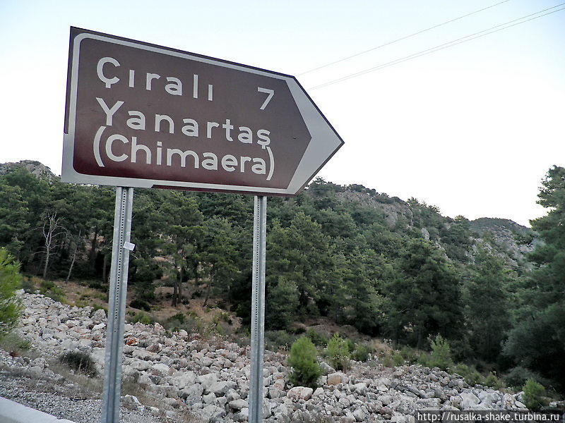 Корявый Чиралы Чиралы, Турция