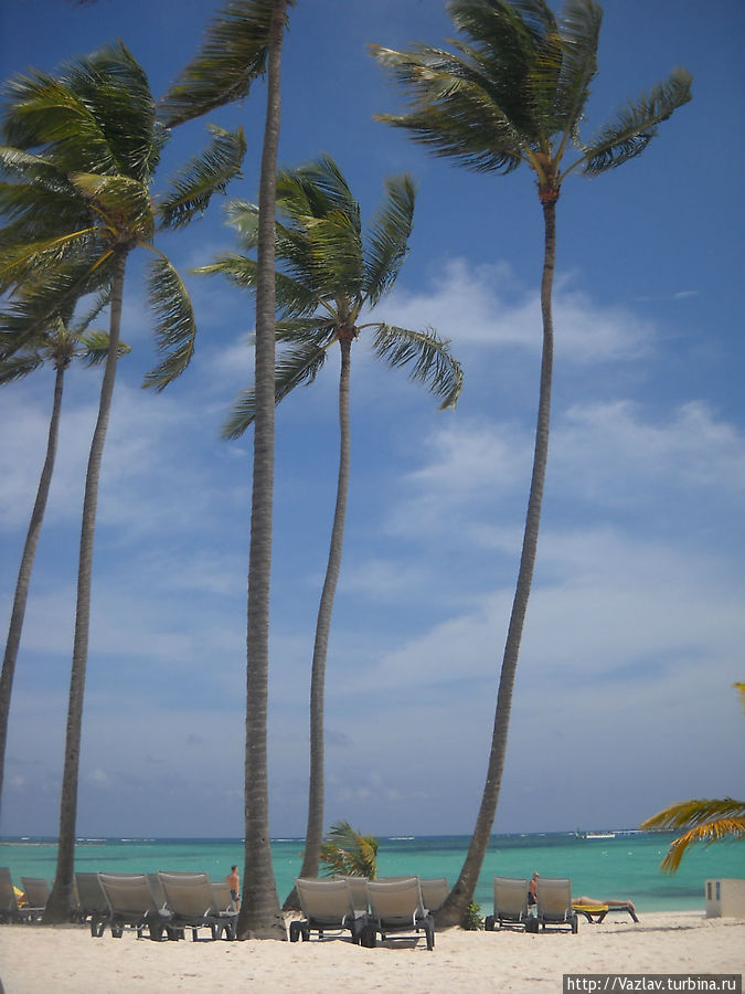 Пляжная картинка Пунта-Кана, Доминиканская Республика