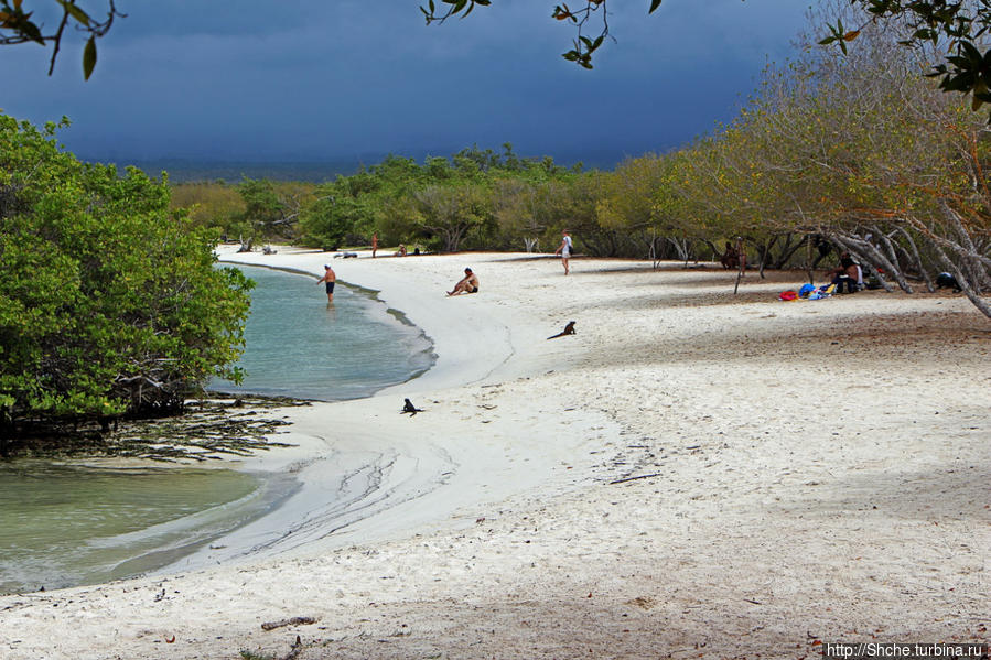 Playa Mansa — идеальная бухта для купания и неги Пуэрто-Айора, остров Санта-Крус, Эквадор