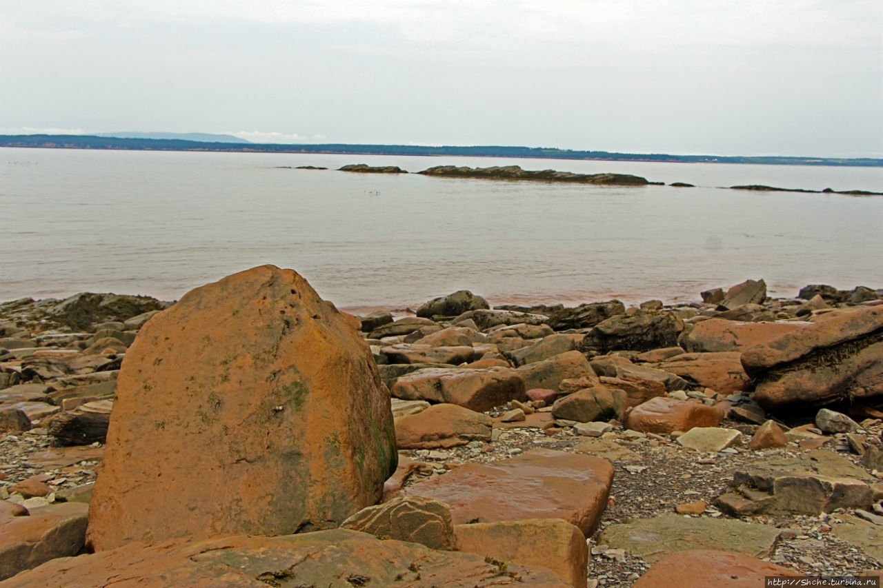 Скалы Джоггинс — прогулка в поисках ископаемых реликтов Джоггинс, Канада