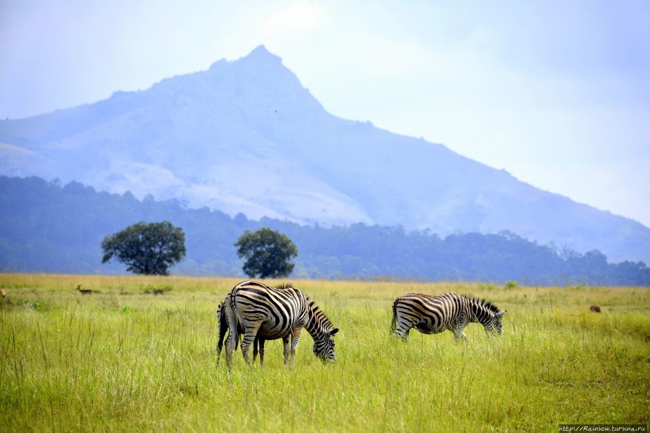 Прекрасный  Свазиленд Млилване Санктуарий Дикой Природы, Свазиленд