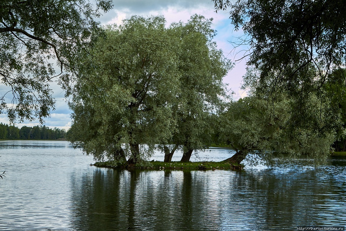 Гатчина Гатчина, Россия