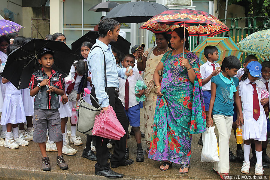 Шри Ланка в лицах Шри-Ланка Шри Ланка в лицах Шри-Ланка