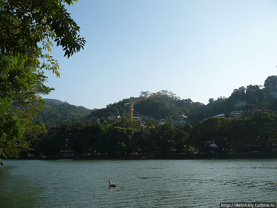 Прогулка по улочкам Канди Канди, Шри-Ланка Прогулка по улочкам Канди Канди, Шри-Ланка