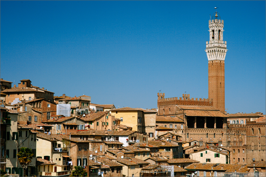 Про Сиену скажу, что тут народа было еще больше. Туристы, туристы, туристы! Вот и получалась у нас интересная ситуация в Италии, или китайская провинция в популярных городах или же полностью пустые города в не туристических местах. Но пару кадров в городе я все таки сделал. Про Сиену скажу, что тут народа было еще больше. Туристы, туристы, туристы! Вот и получалась у нас интересная ситуация в Италии, или китайская провинция в популярных городах или же полностью пустые города в не туристических местах. Но пару кадров в городе я все таки сделал.