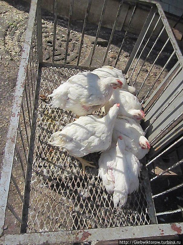 Город Тизнит Тизнит, Марокко Город Тизнит Тизнит, Марокко