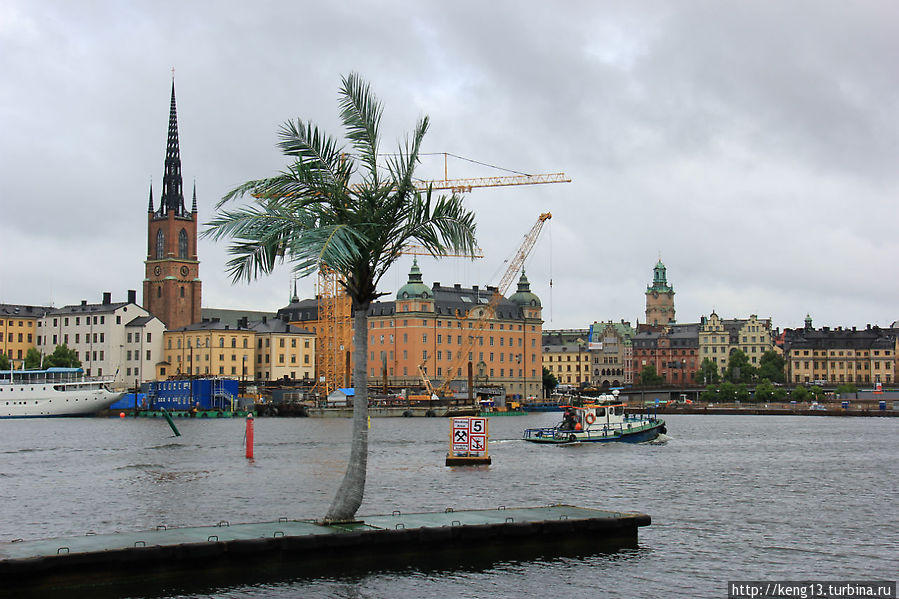 Да и в Швеции растут пальмы :-) Стокгольм, Швеция