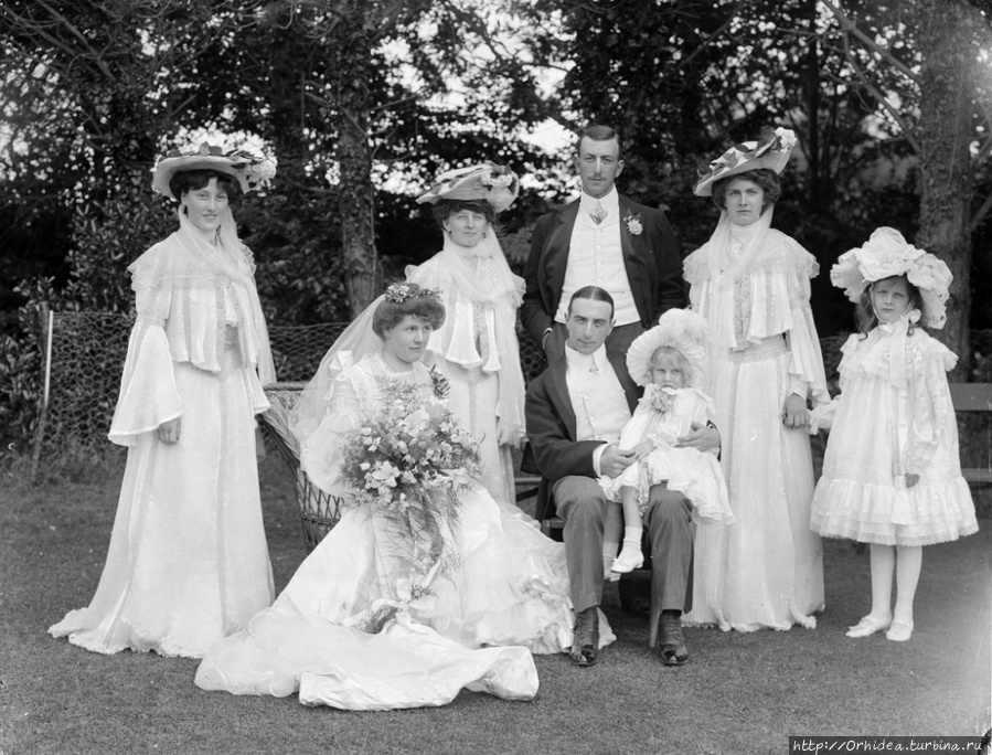 Свадьба. 1903 год. Ирландия