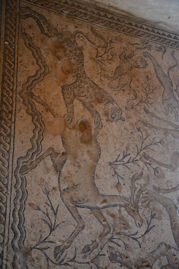 Мозаика Ципори Ципори, Израиль