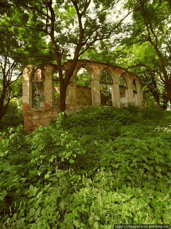 Оранжерея Карвицких Здолбунов, Украина