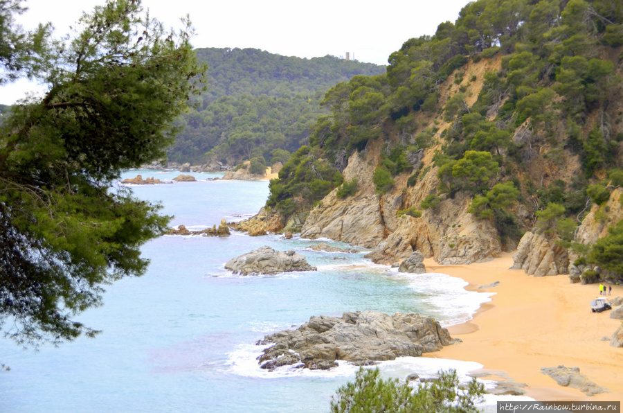 Испания в феврале Испания Испания в феврале Испания