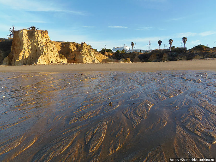 Что скрывает океан: жизнь после отлива Албуфейра, Португалия Что скрывает океан: жизнь после отлива Албуфейра, Португалия