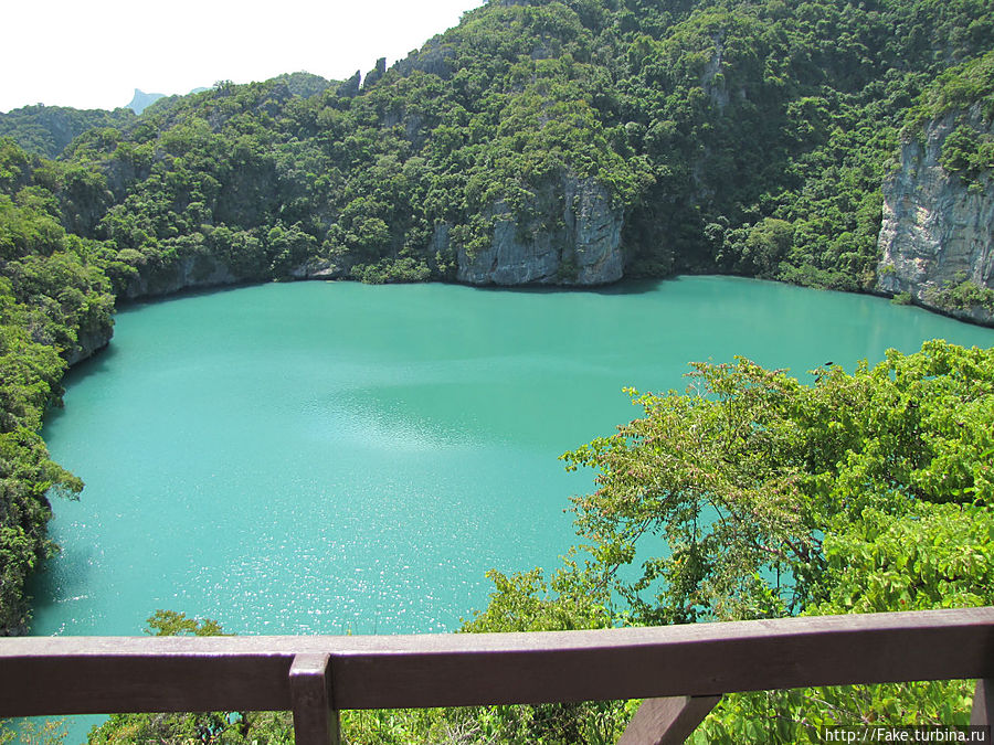 купаться в нем нельзя, но очень хочется купаться в нем нельзя, но очень хочется