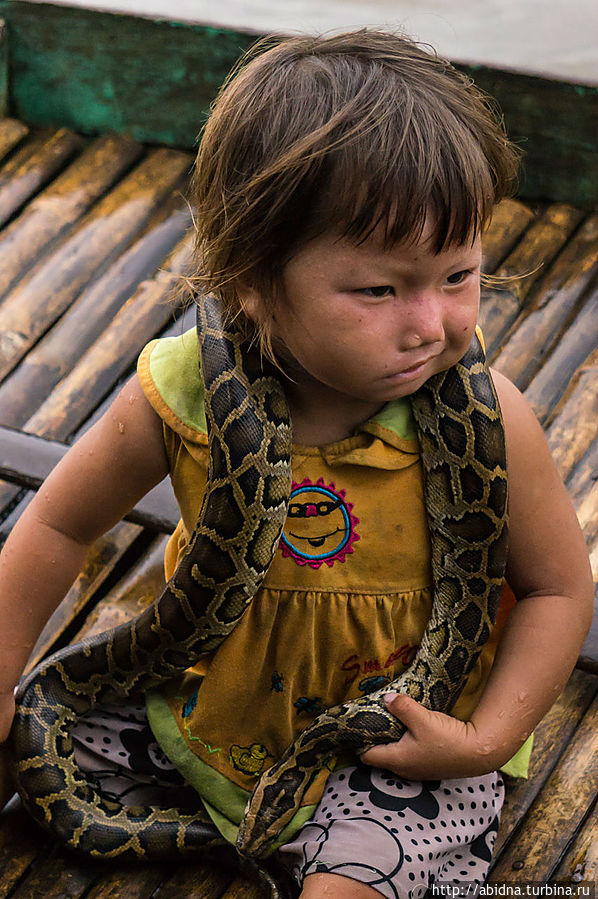 Питон на шее — то ля для фото, то ли для устрашения Питон на шее — то ля для фото, то ли для устрашения