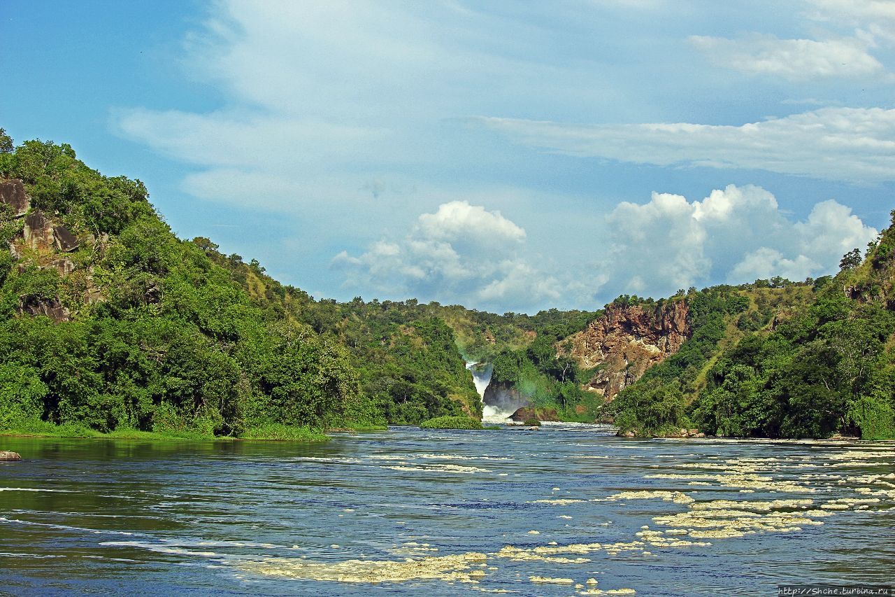 А-а, крокодилы,  бегемоты... Круиз по Виктория-Нилу Мёрчисон-Фоллс Национальный Парк, Уганда