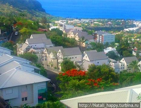 Полыхающие деревья. Реюньон Полыхающие деревья. Реюньон