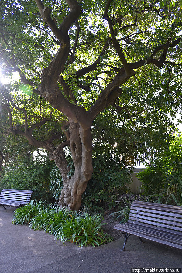 Хоть я и не англичанин, но всё же пройдусь Ницца, Франция Хоть я и не англичанин, но всё же пройдусь Ницца, Франция