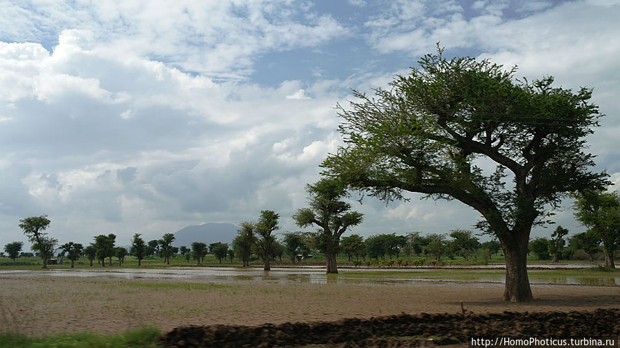 Озеро Абиджата Озеро Абиджата