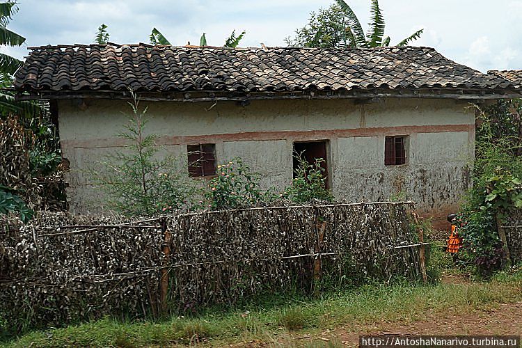 Негр под пальмой Бурунди Негр под пальмой Бурунди