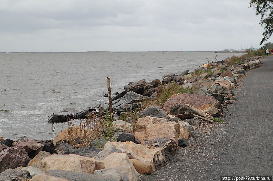 Берег Нижнего залива. Берег Нижнего залива.