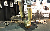В музее можно увидеть обгоревшие бревна и остатки сельскохозяйственных орудий труда с места трагедии. Здесь же размещены  фотографии оставшихся в живых свидетелей уничтожения белорусских деревень.