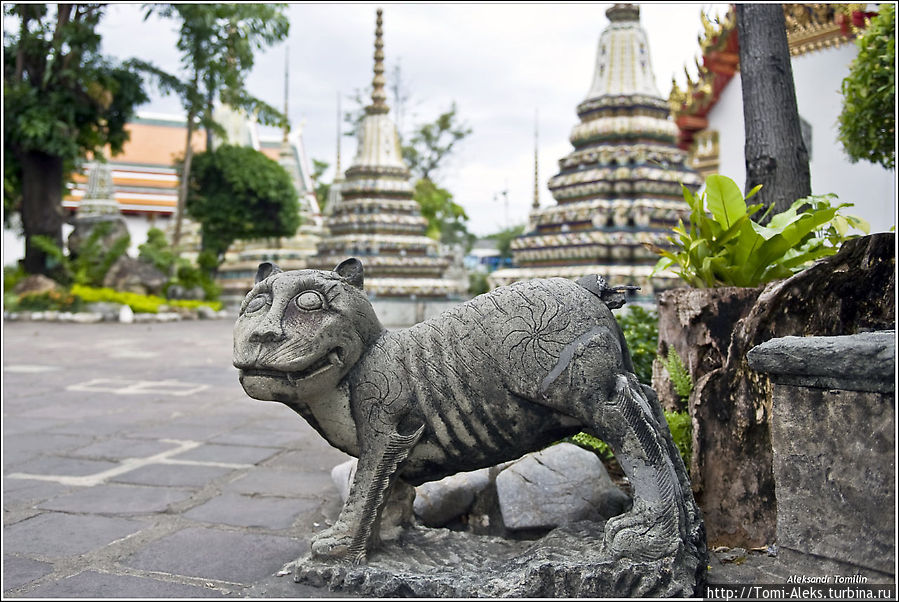 Всех туристов непременно влекут главные достопримечательности мегаполиса. Королевский дворец, Храм лежащего Будды и многие другие не менее красочные и привлекательные места. Я, как фотограф, ощутил сразу фотогеничную ауру этого разноцветного города. Здесь всюду много сюжетов для съемки...
- Бангкок, Таиланд