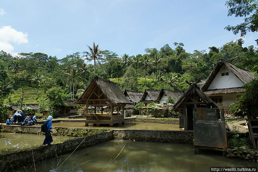 Дети вернулись из школы. Дети вернулись из школы.