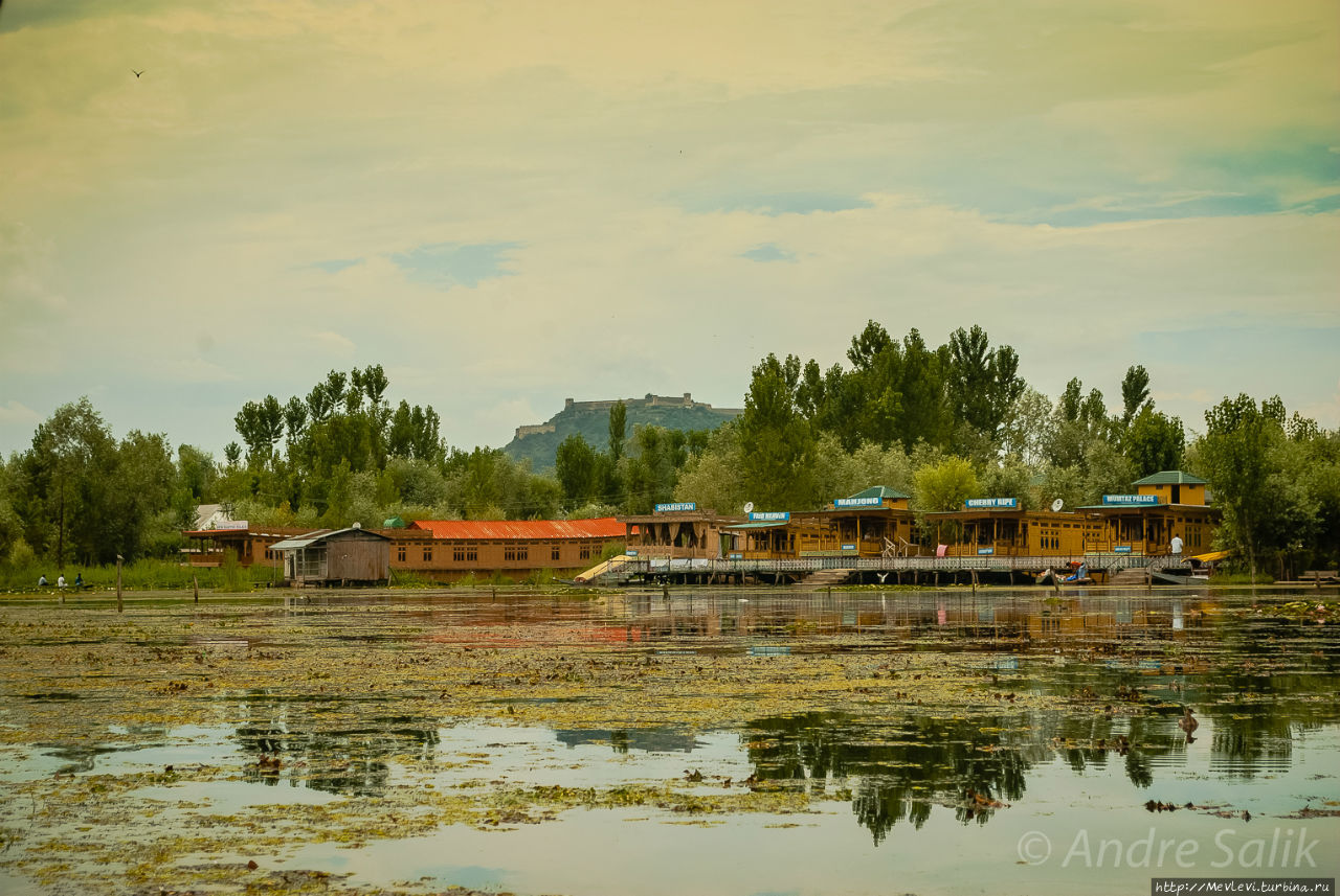 Полуденное зеркало озера Дал Шринагар, Индия