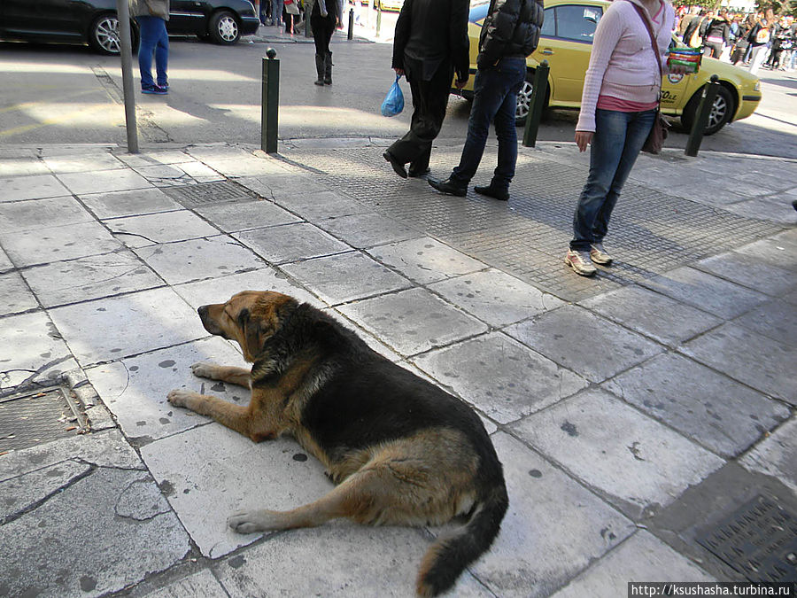На площади Синтагма Афины, Греция