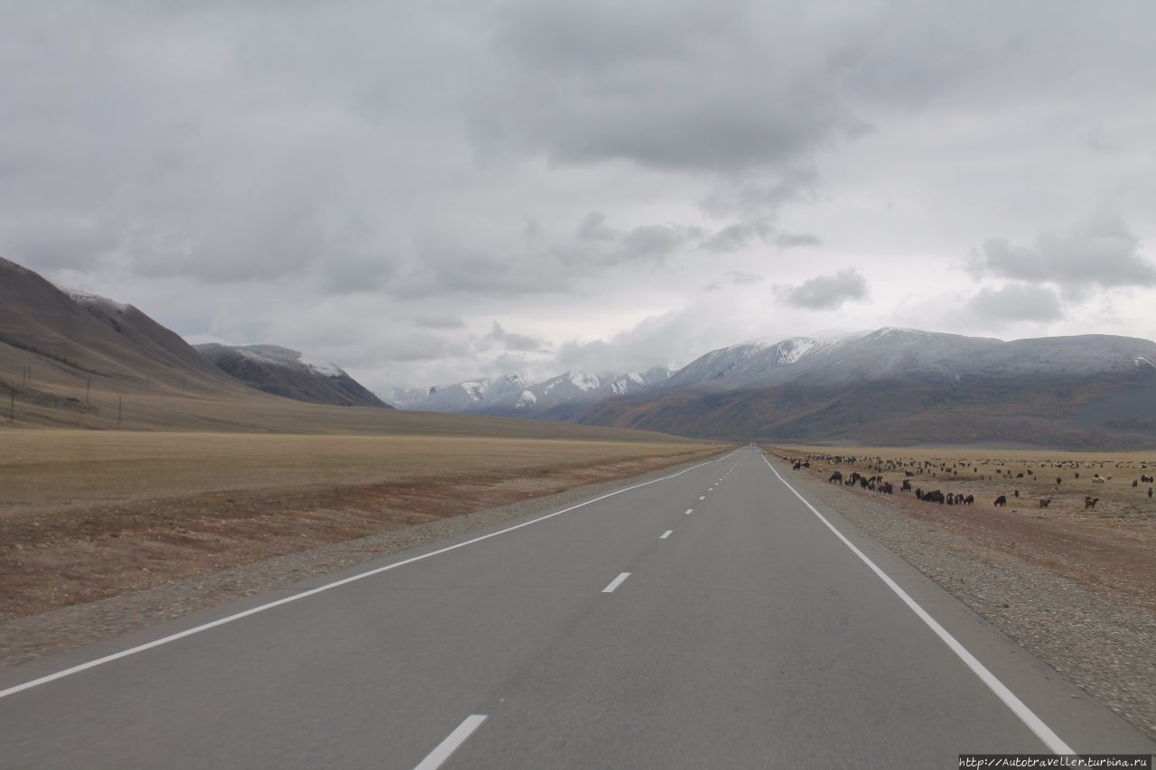 В гости к принцесе Алтая. Автопутешествие — В гости к принцесе Алтая. Автопутешествие —