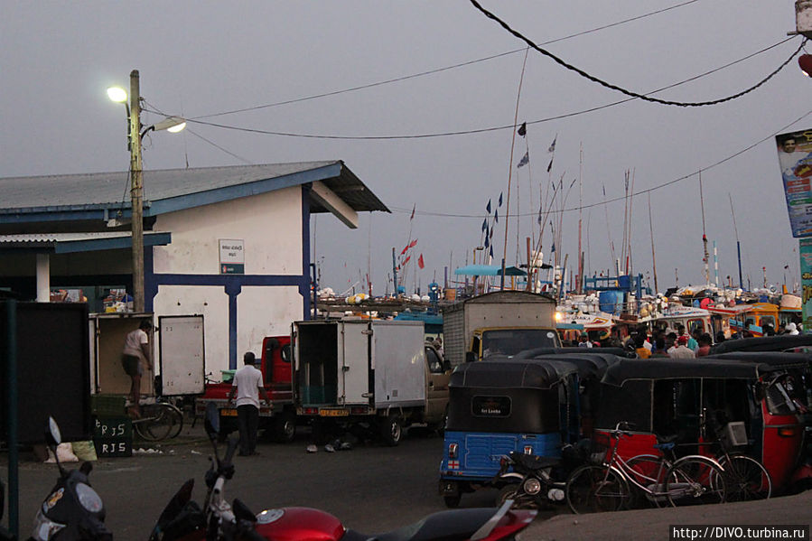 Рыбный рынок в Берувале Берувала, Шри-Ланка