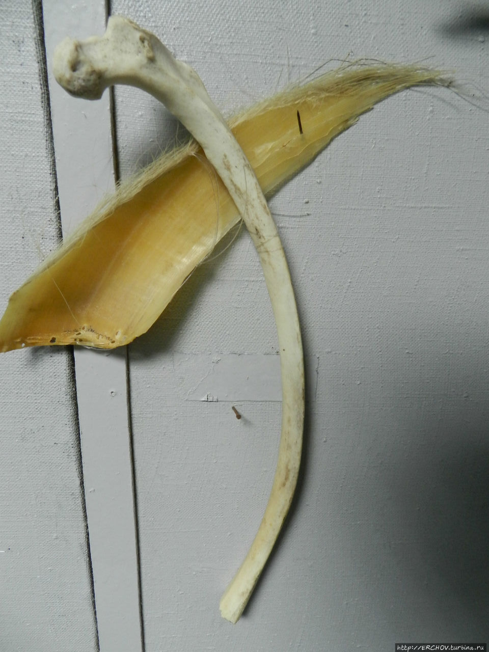 Кунашир. Ч -1. Историко-краеведческий музей в Южно-Курильске Южно-Курильск, остров Кунашир, Россия Кунашир. Ч -1. Историко-краеведческий музей в Южно-Курильске Южно-Курильск, остров Кунашир, Россия