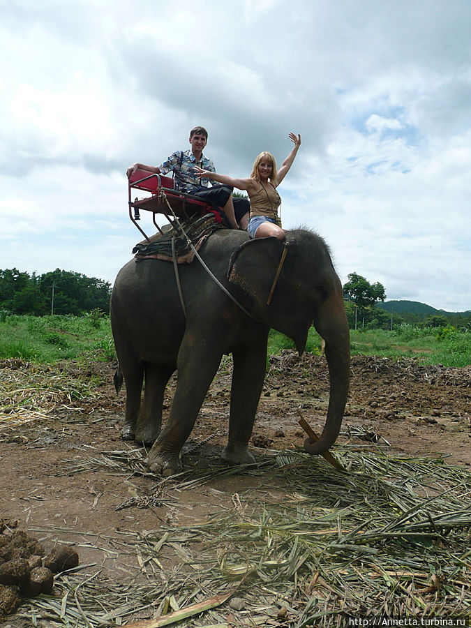 В стране слонов и улыбок Паттайя, Таиланд
