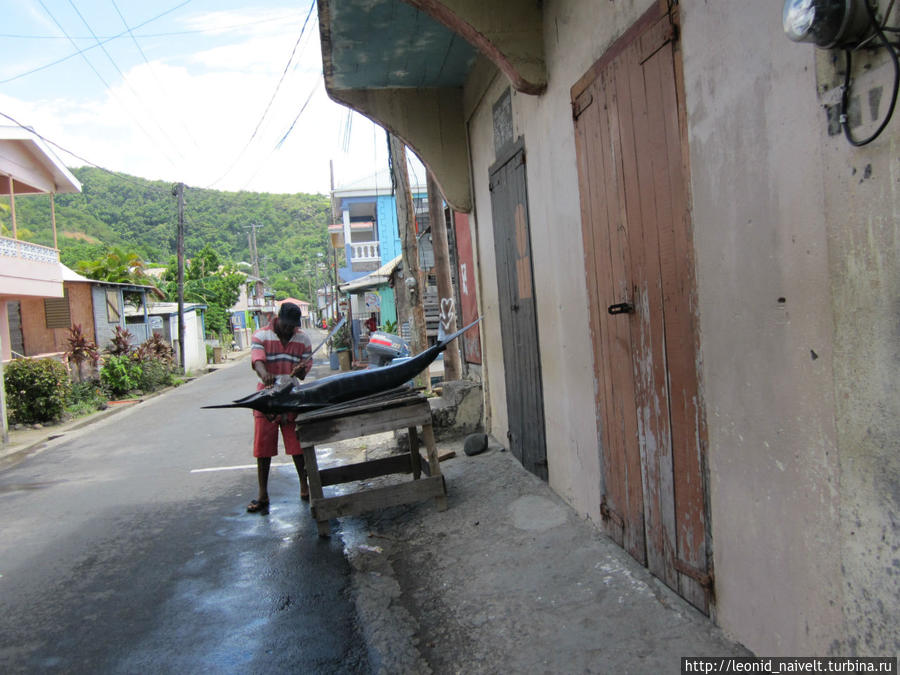 Доминика. Пароним Доминиканы Доминика Доминика. Пароним Доминиканы Доминика