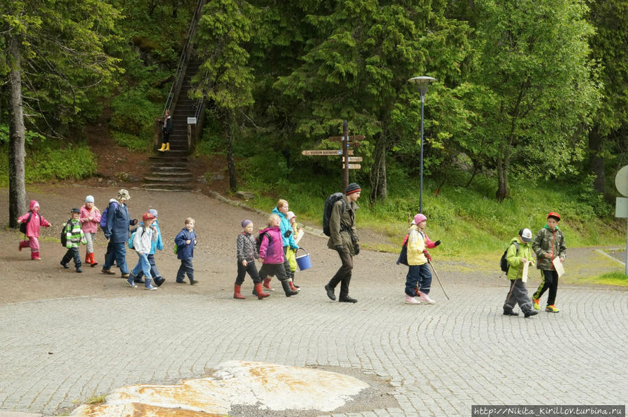 Коли — парк культуры и отдыха Коли, Финляндия