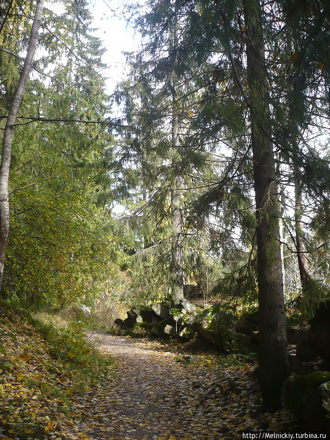 Прогулка по осеннему парку Иматра, Финляндия