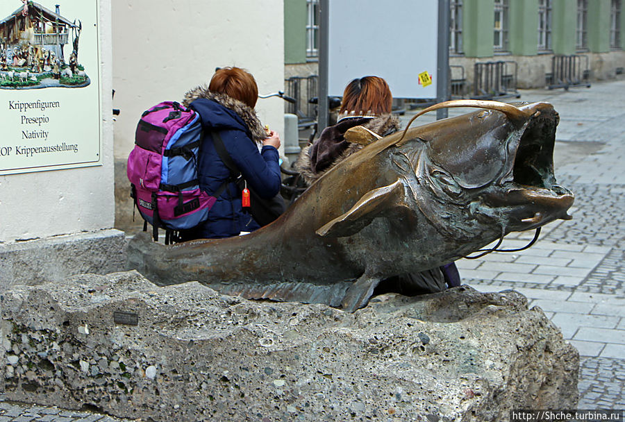 ну а сом был занят всерьез ну а сом был занят всерьез