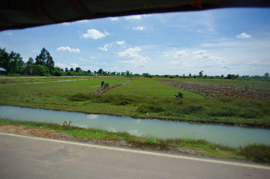 Змейки, Бунта и балют Ангкор (столица государства кхмеров), Камбоджа