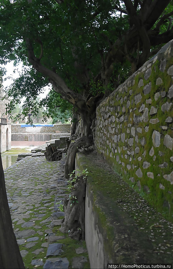 Стена вокруг бассейна Фасилидаса Стена вокруг бассейна Фасилидаса