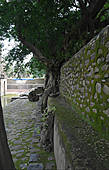 Стена вокруг бассейна Фасилидаса