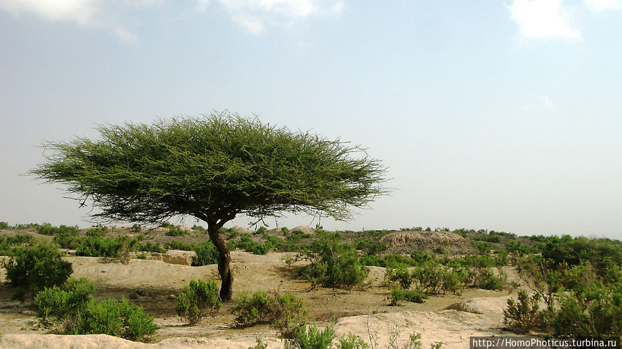 Бесплатный туалет :) Бесплатный туалет :)