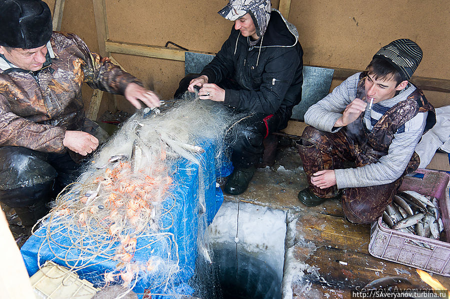 Рыбаки на льду Баргузинского залива Хужир, остров Ольхон, Россия