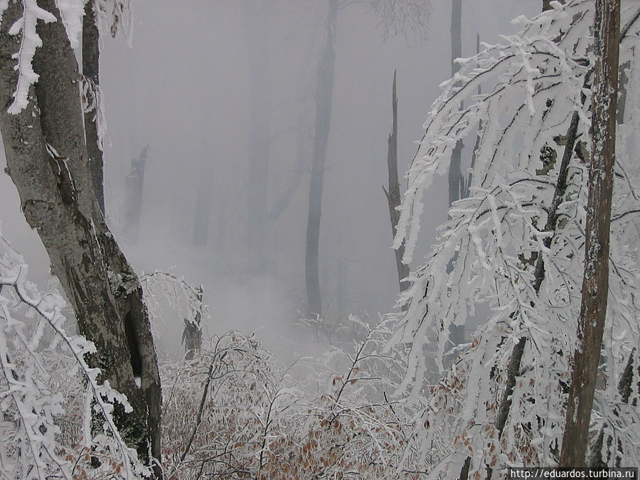Северный Кавказ во всей красе Ведено, Россия Северный Кавказ во всей красе Ведено, Россия
