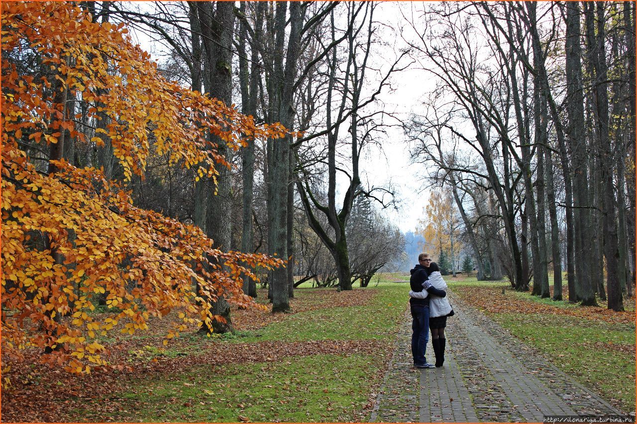 Осенняя сказка Рига, Латвия