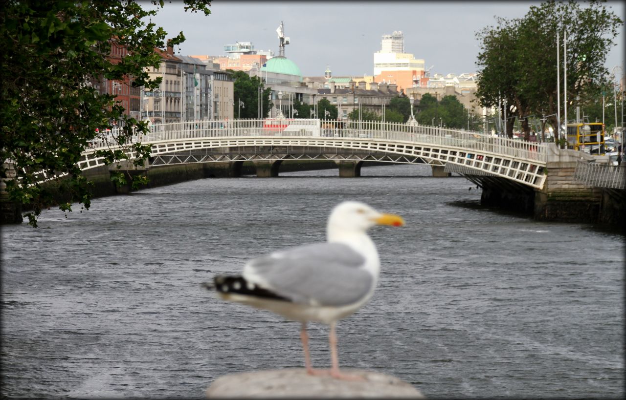 Ну, здравствуй, Ирландия!  ч.1 — Дублин Дублин, Ирландия
