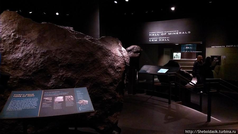 Американский Музей Естественной Истории и планетарий Нью-Йорк, CША