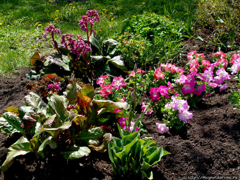 Преддверие осени... Южно-Сахалинск, Россия Преддверие осени... Южно-Сахалинск, Россия